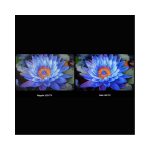 تلویزیون هوشمند شیائومی نسخه اس مینی ال ای دی 75 اینچ / "Xiaomi TV S Mini LED 75 - Image 4